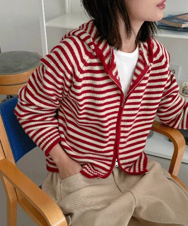Jetio Stripe Knitwear Hooded Zip-up Zip-up