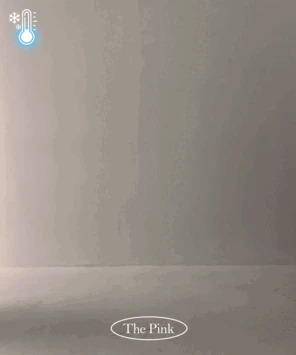 长裤