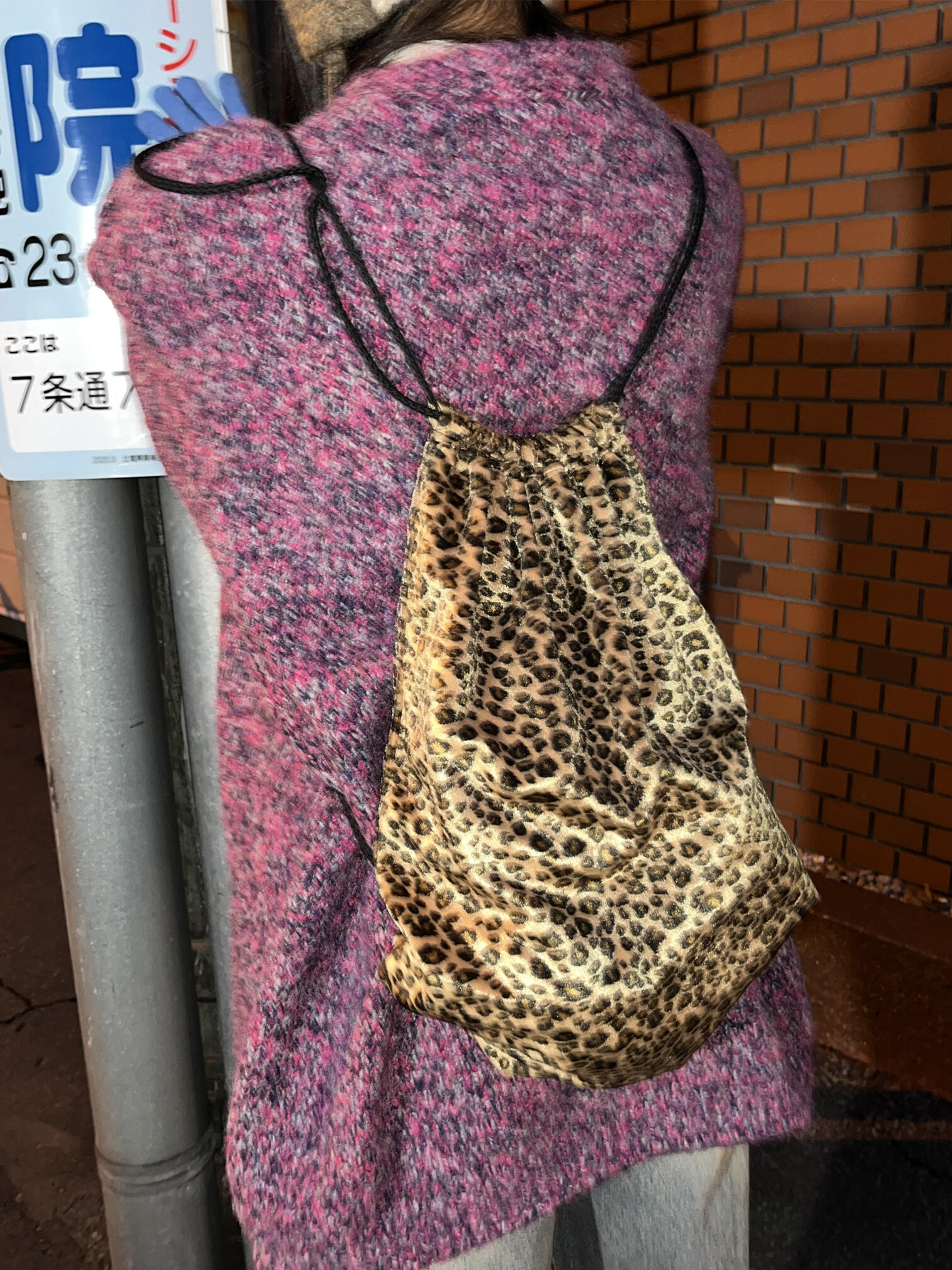Velvet Leopard Backpack 背包