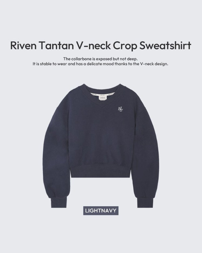 小刺繡V領內刷毛短版大學T