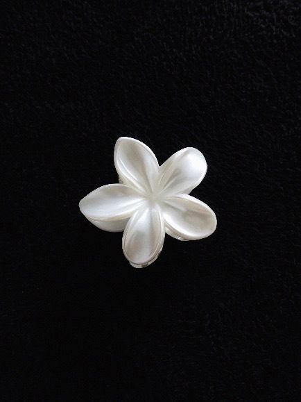 brooch