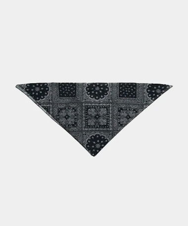 Lejane Paisley Scarf