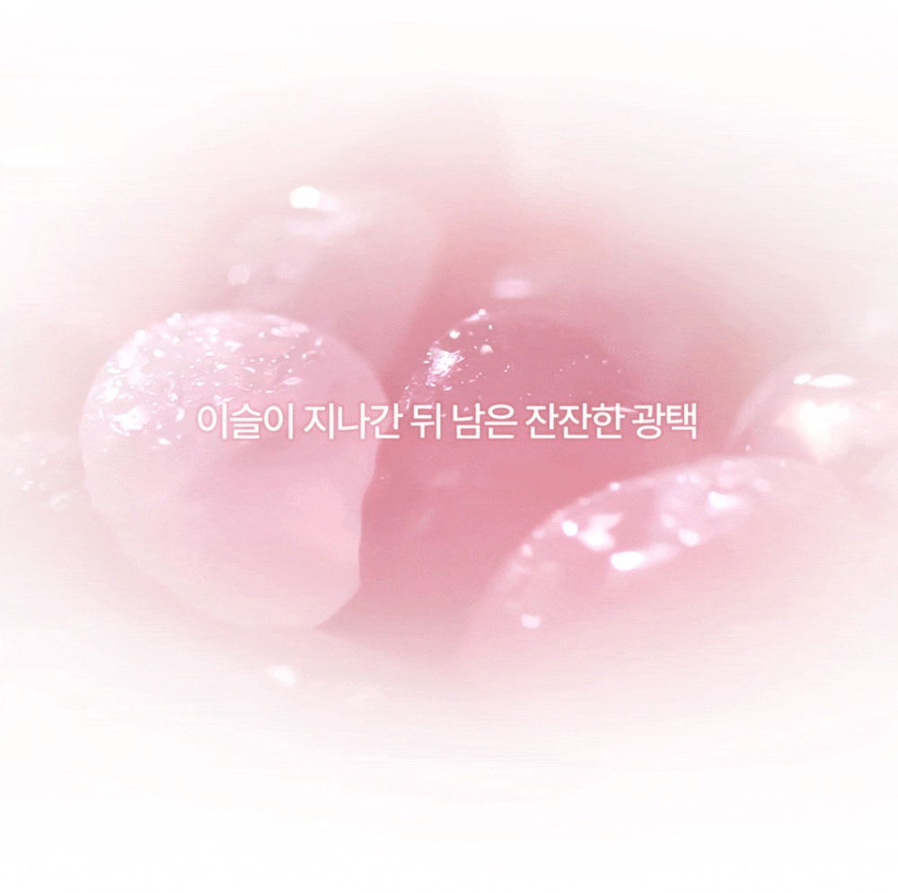 악세사리 상품상세 이미지-S1L2