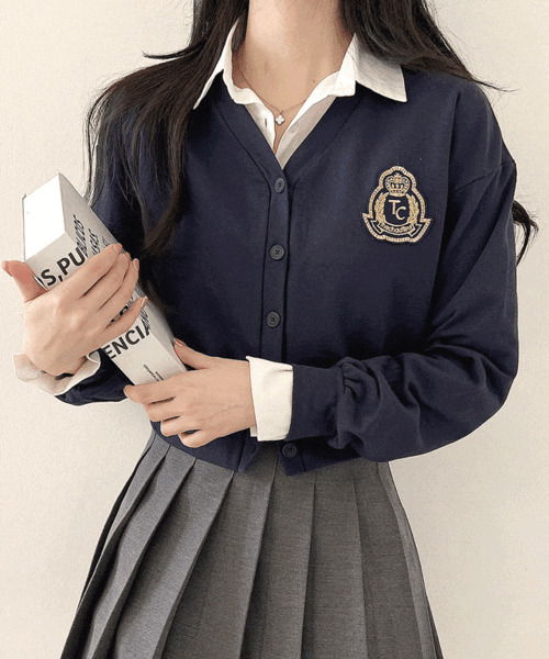 하이틴 와펜 자수 브이넥 가디건