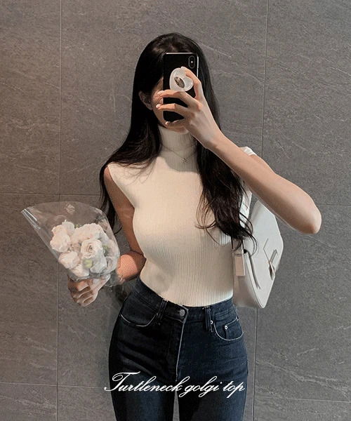 Ille Ribbed Turtleneck Sleeveless Knit