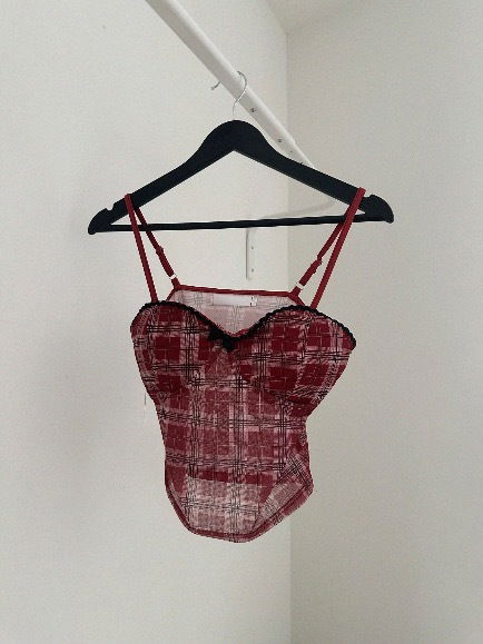 SUNNY CHECK BUSTIER CROP TOP