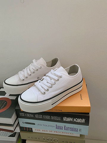 Basic Converse Sneakers 球鞋/布鞋