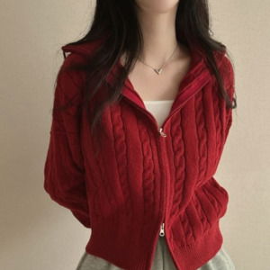 하이넥 꽈배기 집업