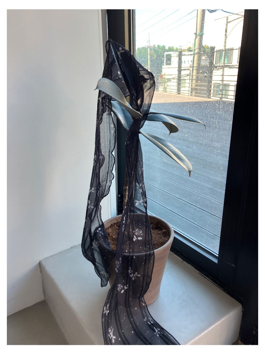 모자 상품상세 이미지-S1L19