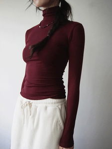Deep Color Slim Turtleneck T