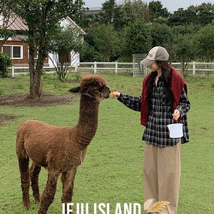 스토브 루즈핏 기모 체크 셔츠 84233