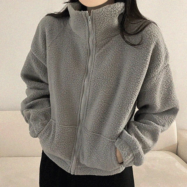 Friends Fleece High Neck Fleece-lined Winter Crop Zip-Up 3 Colors Zip-up