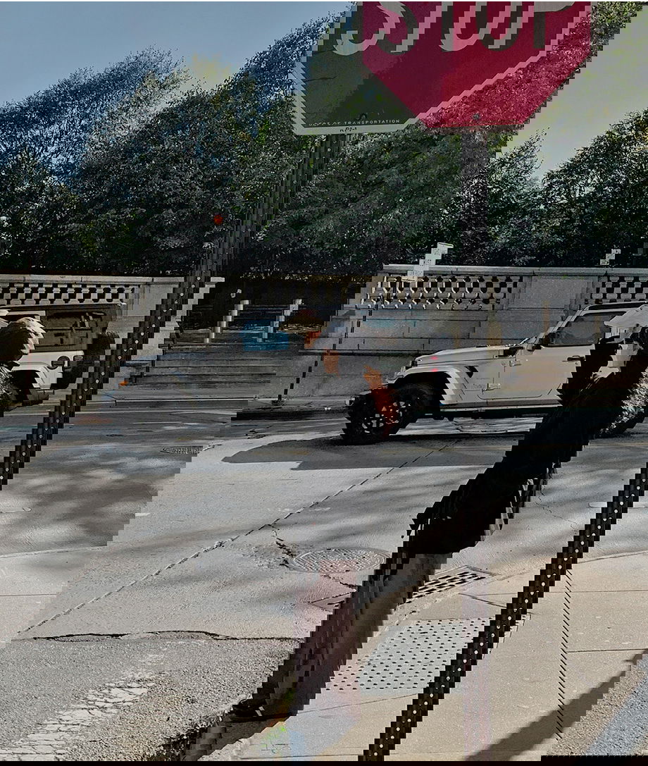 리리앤코 하로픈 플랩 카라넥 벨트 하프 코트