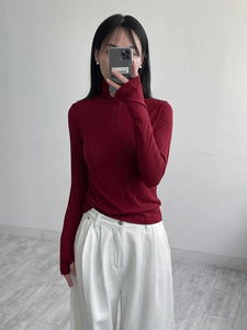 Pintuck Warmer Turtleneck T-Shirt