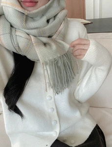 Planning/Second Check Muffler