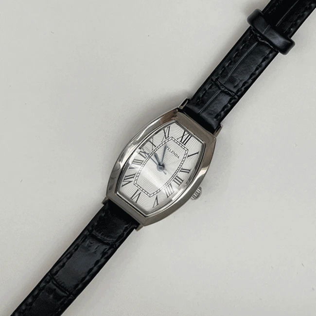 Ganadaran Molve Modern Simple Silver Black Strap Watch
