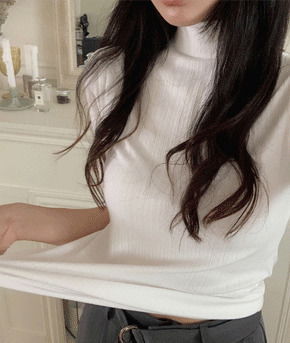 아린반폴라t (슬림핏,플리츠주름t,반하이넥t,반팔폴라)