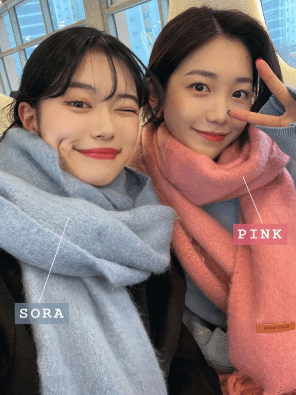 素色長圍巾 10色