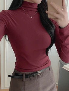 Dessert Fleece-lined Turtleneck T